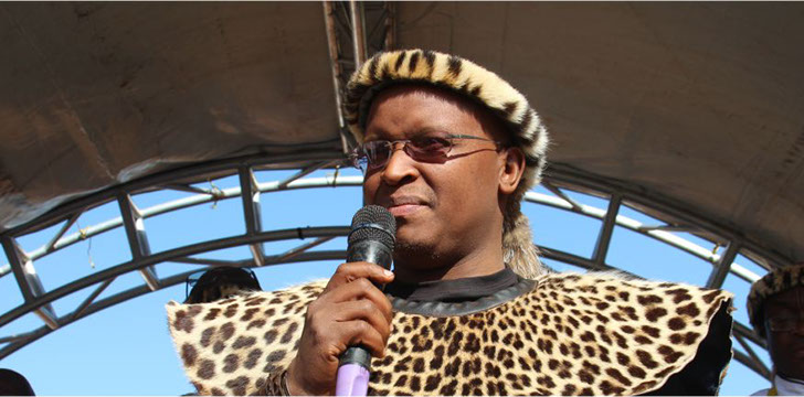 Honorable Inkosi Sandile Ngomane Hhoyi II